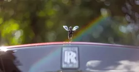 Rolls-Royce Cullinan Black Badge: Vizită la palat