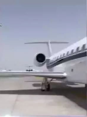 monica-gabor-si-mr-pink-2