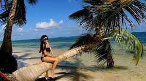 images-21