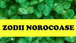 Zodiile norocoase ale lunii martie. Sunt răsfățatele astrelor!