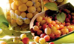 Delicatesă cu agrişe