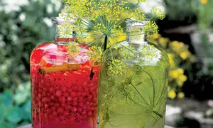 Sirop de coacăze roşii