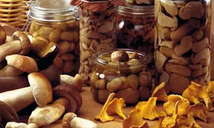 Ciuperci de pădure în oţet