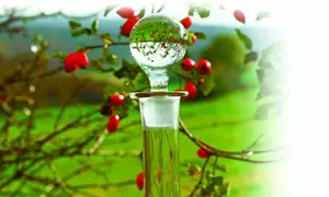 Cornată (lichior de coarne)