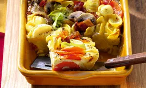 Specialitate în culori