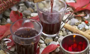 Vin fiert cu scorţişoară