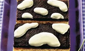 Prăjitură dalmaţian