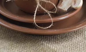 Reţete cu ciupercuţe