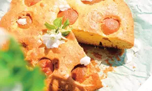 Prăjitură cu brânză şi caise