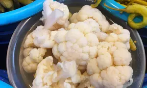 Conopida in saramura