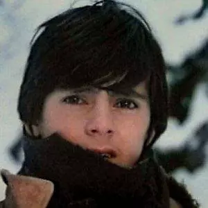 cristian-sofron-toate-panzele-sus-2