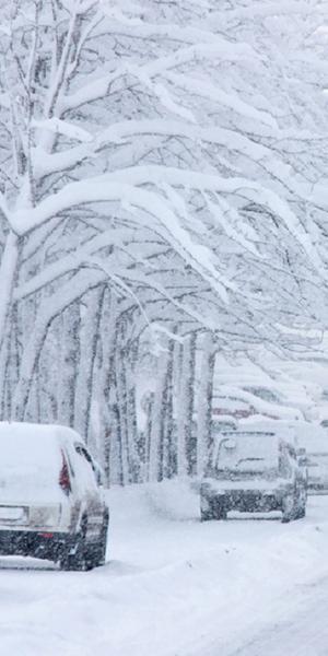 Prognoza meteo ANM: Cod galben de ninsori și viscol ...