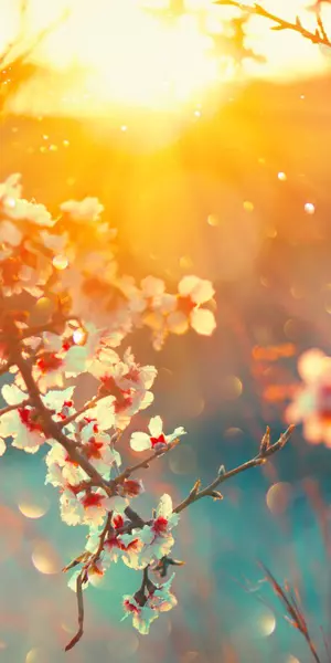 Cum Va Fi Vremea In Primele Zile Din Luna Mai Divertisment Inedit Unica Ro