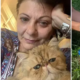 Elena Cârstea câștigă o avere din afacerea cu pisici: "E o grămadă de muncă cu ele, dar merită tot efortul"/ Cu câte mii de dolari a vândut un singur pui