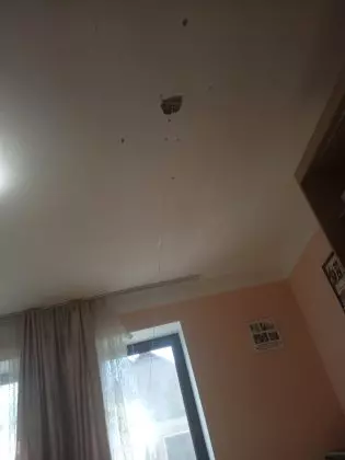 miela-francu-atac-armat-2