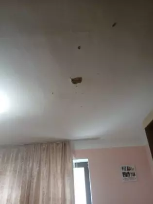 miela-francu-atac-armat-3