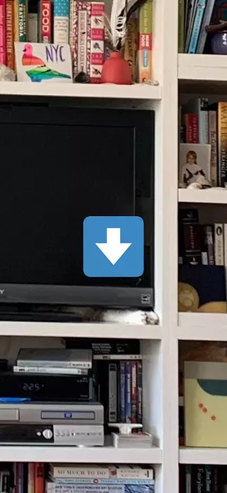 cat tv