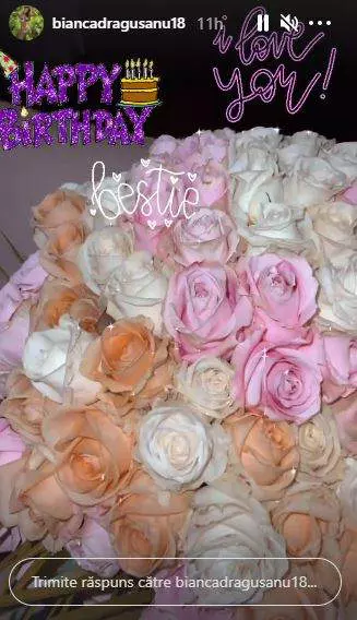 Bianca Drăgușanu zi de naștere (4)