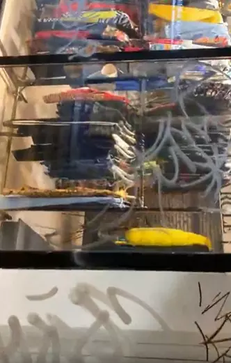 WhatsApp-Image-2021-10-26-at-11.15.03