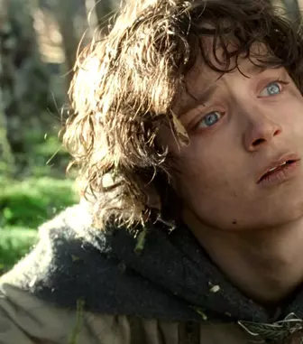 Reuniune spectaculoasă la 23 de ani de la „Stăpânul Inelelor”! Cum arată astăzi Elijah Wood și colegii lui. Fanii s-au bucurat să-i vadă așa