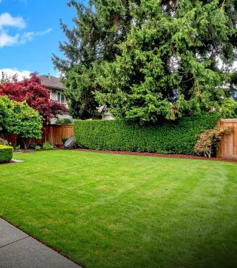 Cum să-ți transformi curtea într-un spațiu practic și modern