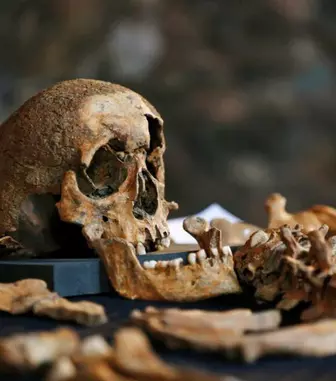 Moartea Neagră: Pacientul-zero. Cea mai mare pandemie din istorie, dezvăluită în premieră la Viasat History