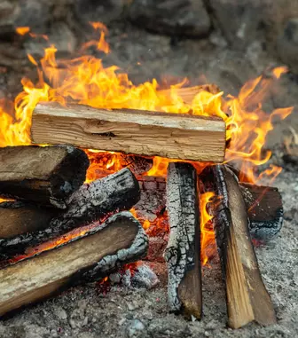 Lemne de foc livrate la domiciliu: ce trebuie să verifici la recepție