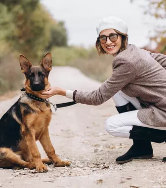Pet sitting: soluția când pleci și nu vrei să îl lași singur