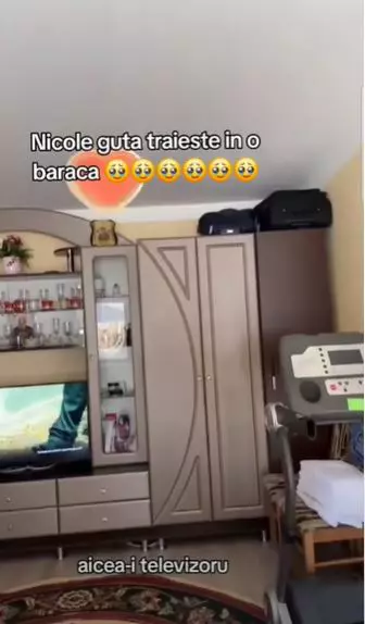 imagini baracă - Nicolae Guță (1)