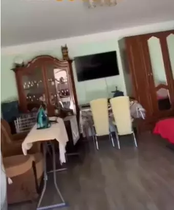 nicolae-guta-baraca4