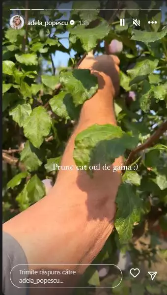 Adela-Popescu-Susani-1