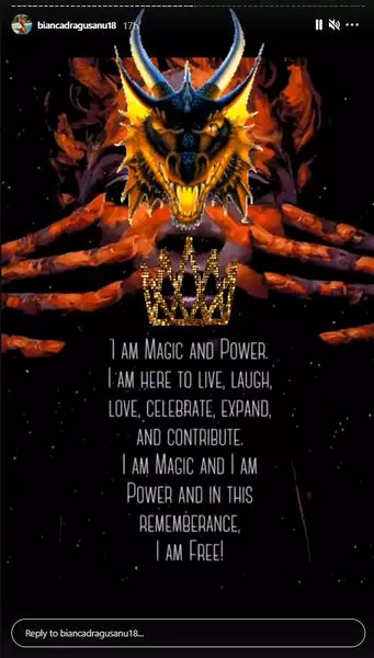 reactie-bianca-dragusanu-irinel-columbeanu-Capture1