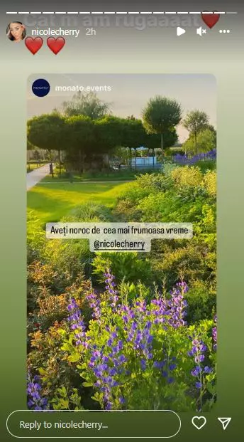 nicole-cherry-nunta-botez