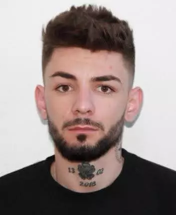 Gheorghe Vlăduț Bălțățeanu (2)