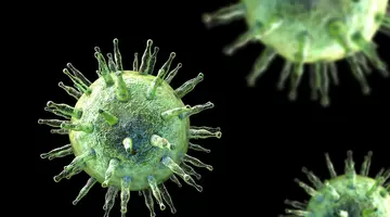 Un virus ignorat zeci de ani, asociat cu cancerul și scleroza multiplă