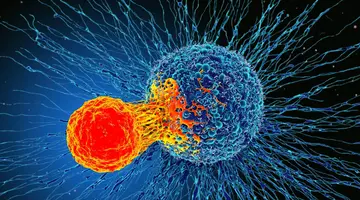 Vaccin direct în tumoră: abordarea care obligă celulele canceroase să fie recunoscute și distruse