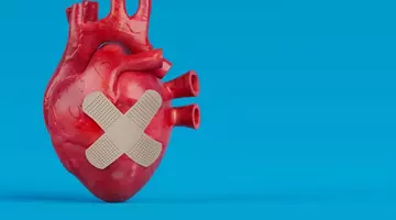 Un plasture biodegradabil ar putea ajuta inima să se vindece după un infarct. Primele rezultate sunt foarte promițătoare