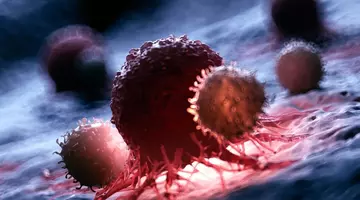 Cercetătorii au găsit o metodă nouă de a „activa” celulele T ale sistemului imunitar care ucid cancerul
