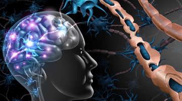 TOPUL meseriilor care NU pot fi înlocuite de inteligența artificială (AI). Profesii imposibil de înlocuit de tehnologia avansată