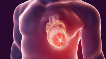 STUDIU: Inima umană își poate regenera celulele musculare după un atac de cord