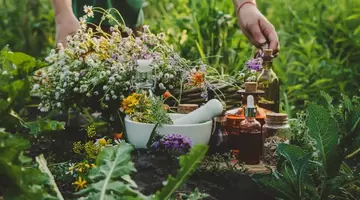 Leacurile din farmacia Mariei Treben. Plantele pe care le recomandă pentru stomac, somn și vindecarea rănilor