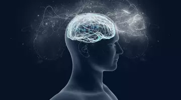 Ce parte a creierului folosești cel mai des