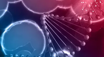 Tumorile au dispărut complet în doar 11 zile. Cercetătorii au transformat o proteină care provoacă un cancer în arma care îl distruge