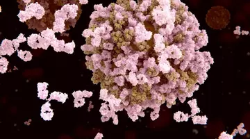 Alertă globală: noua variantă gripală mutantă se răspândește exploziv. Medicii avertizează asupra simptomelor care pot anunța forme severe