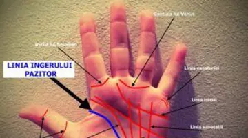 Cum arată linia divorțului din palmă. Semnul care ar anunța o despărțire inevitabilă
