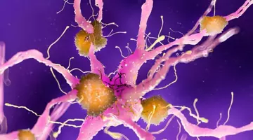 Cercetătorii spun că această „plantă miraculoasă” poate ajuta la tratarea bolii Alzheimer