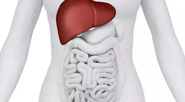 Ingredientul care ajută la eliminarea grăsimii din ficat