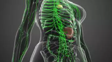 De ce nu e vina ta dacă ai limfa lentă? 10 blocaje silențioase ignorate frecvent