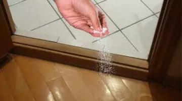 Superstițiile bizarre legate de locuință. Ce așezi la prag pentru a atrage prosperitatea