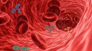 5 alimente care subțiază sângele, la fel ca medicamentele
